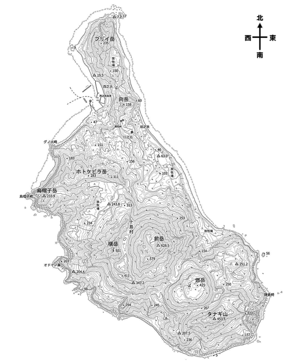 元問題